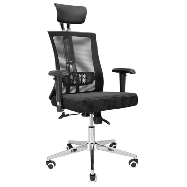 Ergonomic Chair