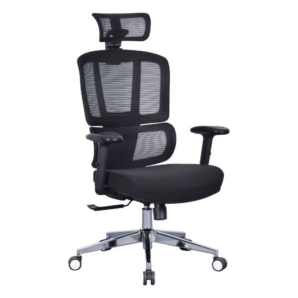 Ergonomic Chair