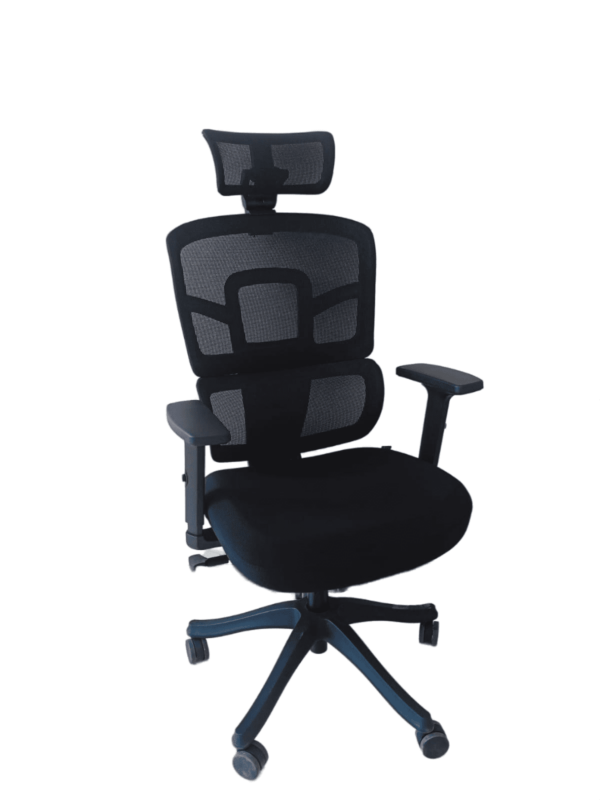 Ergonomic Chair