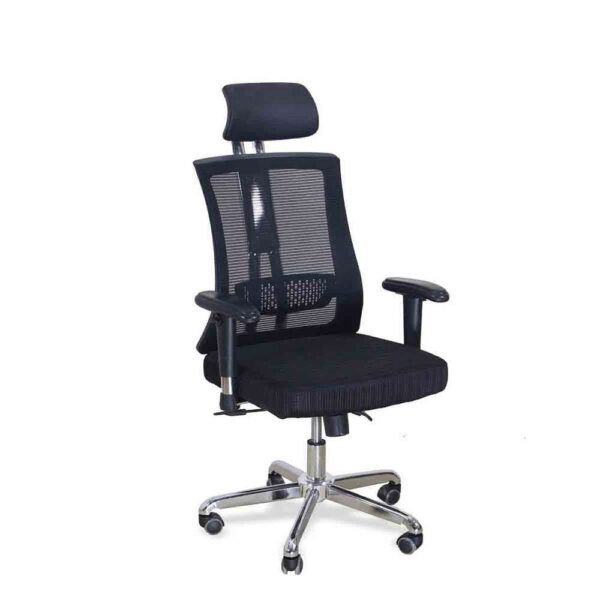 Ergonomic Chair