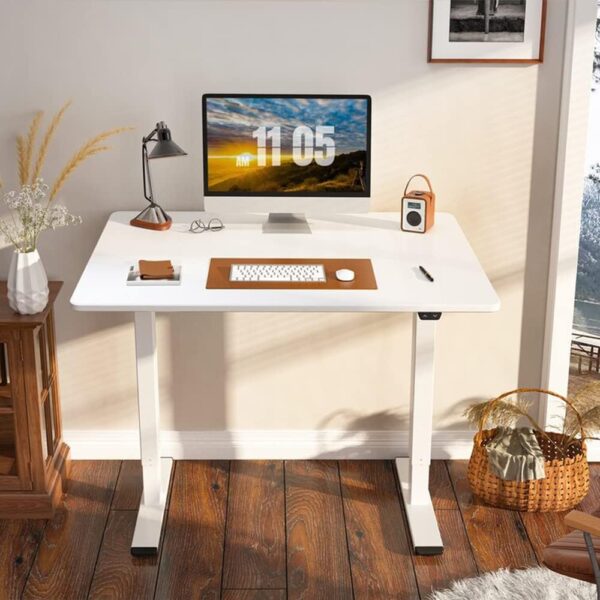 Single Motor Electric Desk