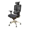 Ergonomic Office Seat