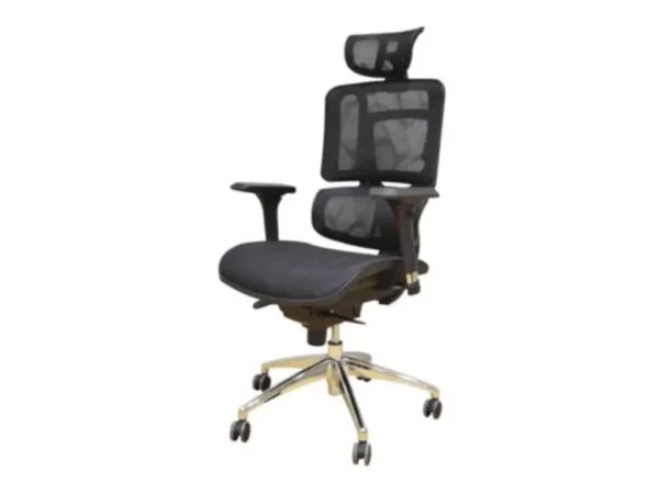 Ergonomic High Back Chair