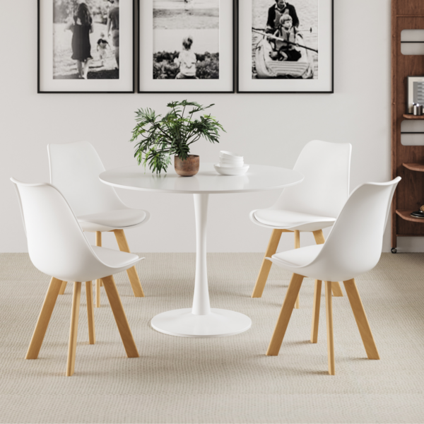 Mid-Century Eames Dining Set