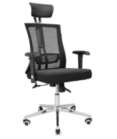 Ergonomic Chair
