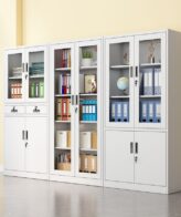 2-Door Metallic Cabinet