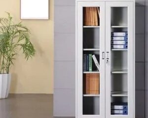 2-Door full-glass metallic cabinet