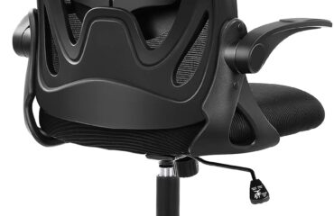 Ergonomic Desk Chair with Adjustable Lumbar Support