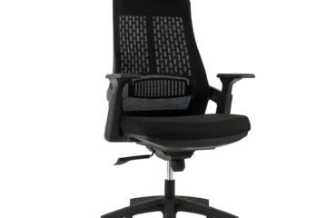 Lama Orthopedic office chair
