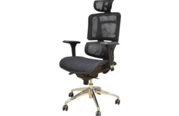 Ergonomic Office Seat