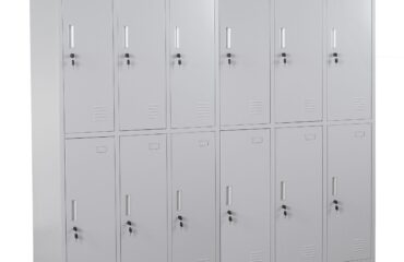 6-Locker Metallic Cabinet