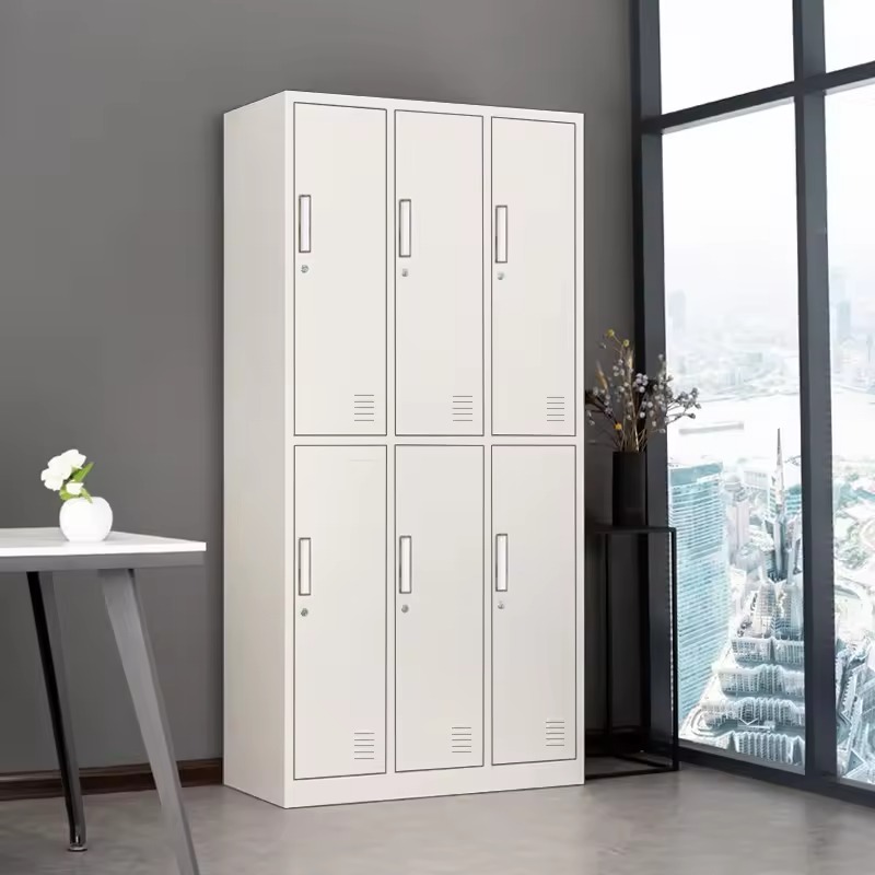 6-Locker Metallic Cabinet